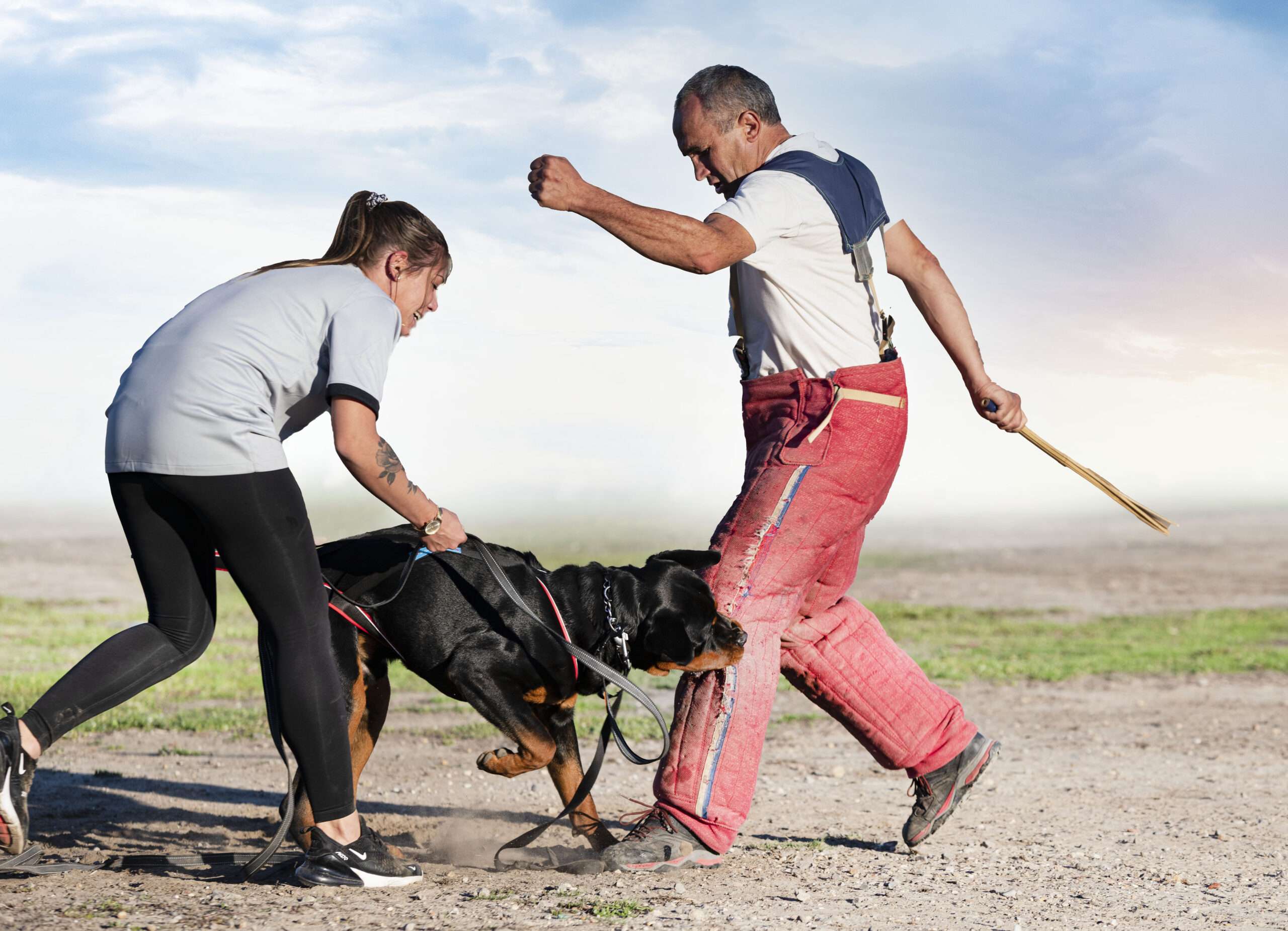 defending against dog attack
